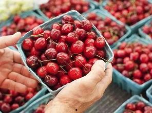 樱桃吃瓜视频,揭秘网红美食背后的故事