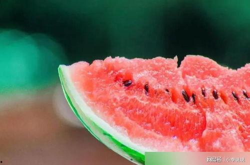 吃瓜CT,一场关于网络热点的深度探讨