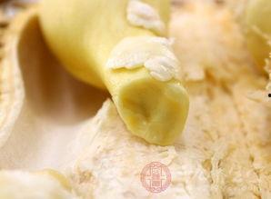 姜饼瓜孕妇可以吃吗,安全与注意事项