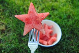 吃鸭瓜视频,揭秘美食背后的故事与魅力