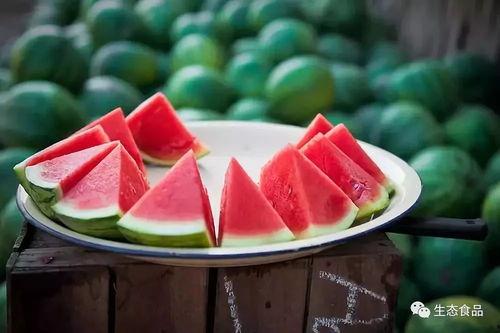 西瓜欧巴吃瓜,西瓜欧巴的甜蜜瓜界传奇