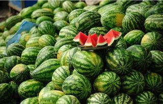 沈阳雪圈吃瓜,一场意外的“吃瓜”盛宴