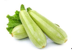 沈阳雪圈吃瓜,一场意外的“吃瓜”盛宴