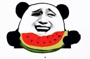 吃瓜群众吃瓜狗,揭秘网络时代的娱乐现象