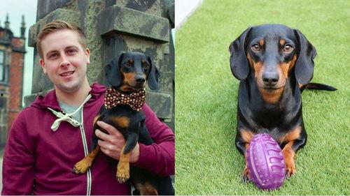 吃瓜群众吃瓜狗,揭秘网络时代的娱乐现象