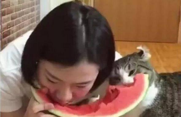 流口水吃瓜,揭秘娱乐圈那些鲜为人知的幕后故事