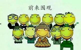 吃瓜群众英语joy,Joy: The Universal Language of Happiness Unveiled