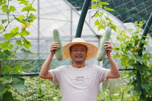 蔡呱呱吃瓜,揭秘娱乐圈幕后故事