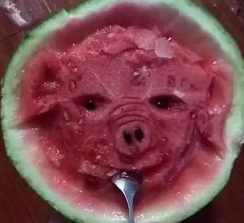 带你吃瓜玩偶服,带你体验趣味玩偶服狂欢之旅