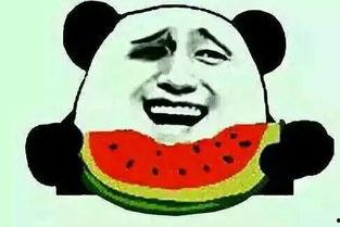 带你吃瓜玩偶服,带你体验趣味玩偶服狂欢之旅