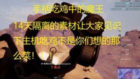 呆瓜茜吃鸡,一场趣味横生的冒险盛宴