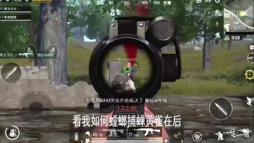 呆瓜茜吃鸡,一场趣味横生的冒险盛宴