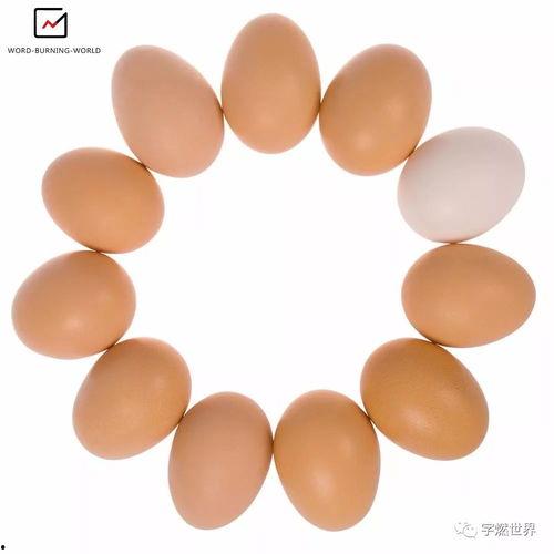 吃瓜回头,揭秘网络舆论的真相与反思