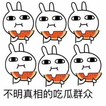 吃瓜回头,揭秘网络舆论的真相与反思