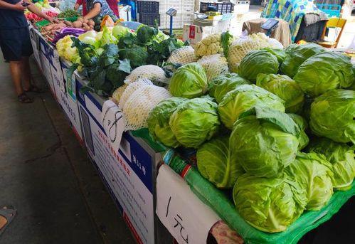 保定吃瓜大妈最新,揭秘网络热传事件背后的真相与笑料 第1张 保定吃瓜大妈最新,揭秘网络热传事件背后的真相与笑料 第1张