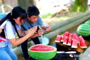 跳跳糖吃瓜群众,揭秘娱乐圈的甜蜜与苦涩  第3张