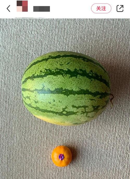 老外吃瓜的视频,趣味横生的跨国文化碰撞  第3张