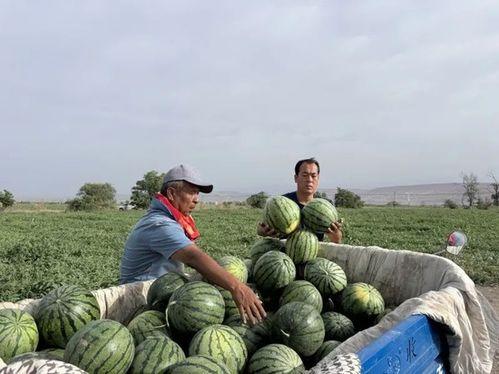 闾山吃瓜者,闾山吃瓜者的夏日奇遇记