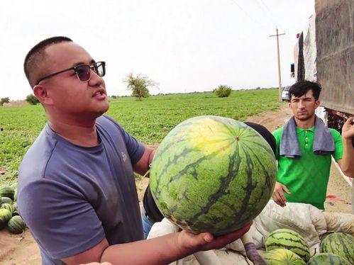 闾山吃瓜者,闾山吃瓜者的夏日奇遇记  第2张